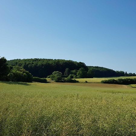 Ferienhaus Forstblick Betzenstein ภายนอก รูปภาพ