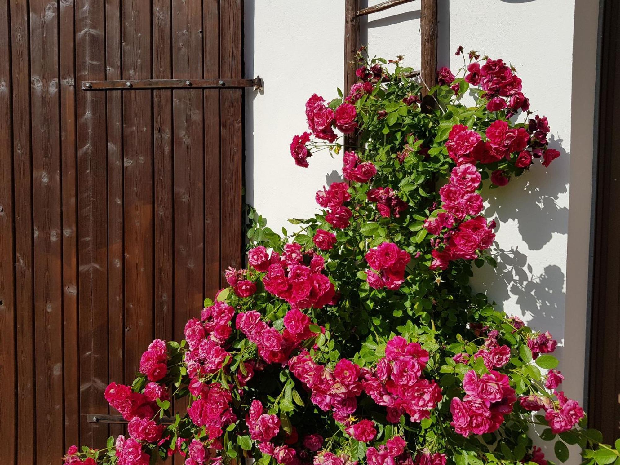 Ferienhaus Forstblick Betzenstein ภายนอก รูปภาพ