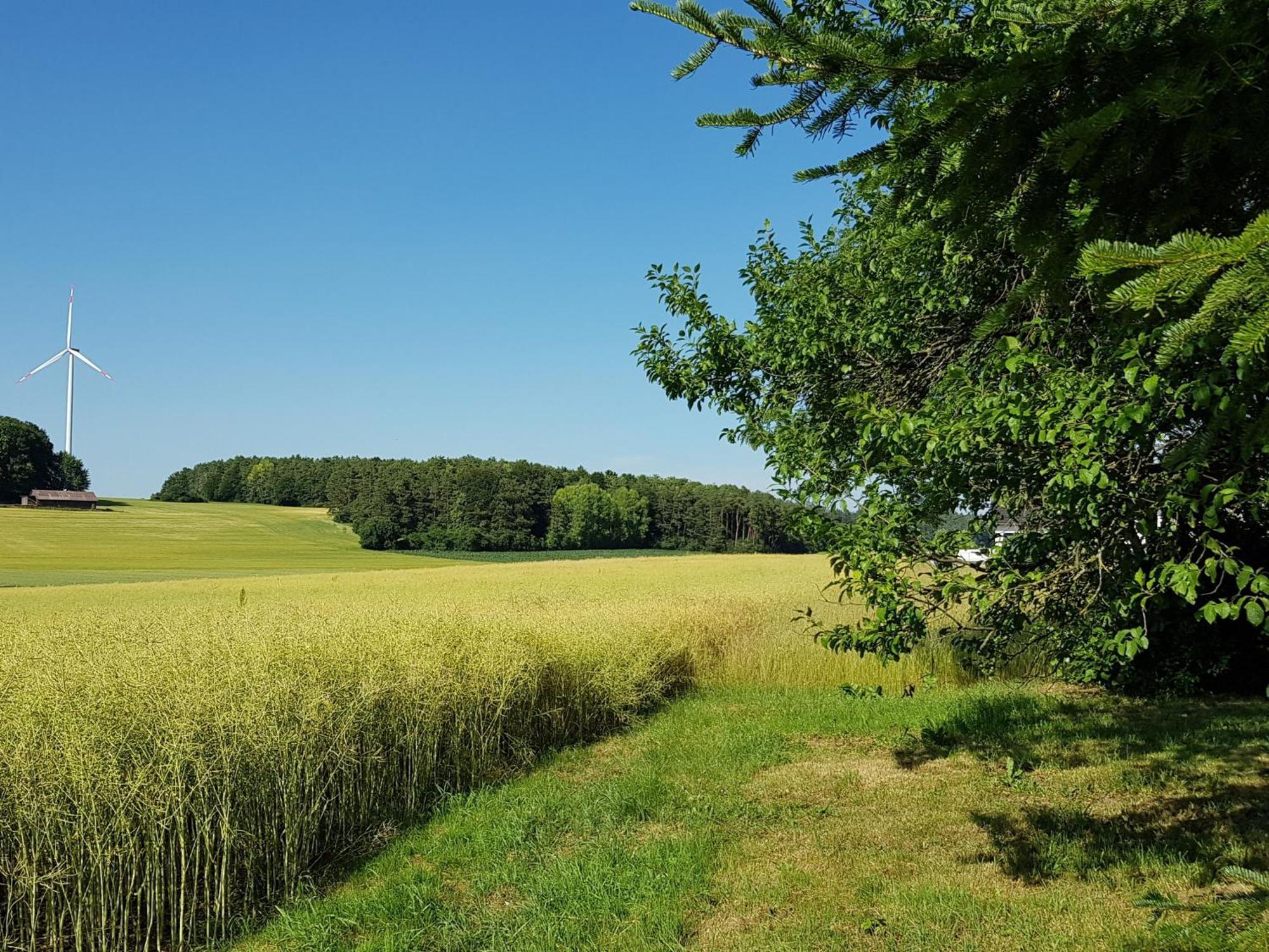 Ferienhaus Forstblick Betzenstein ภายนอก รูปภาพ
