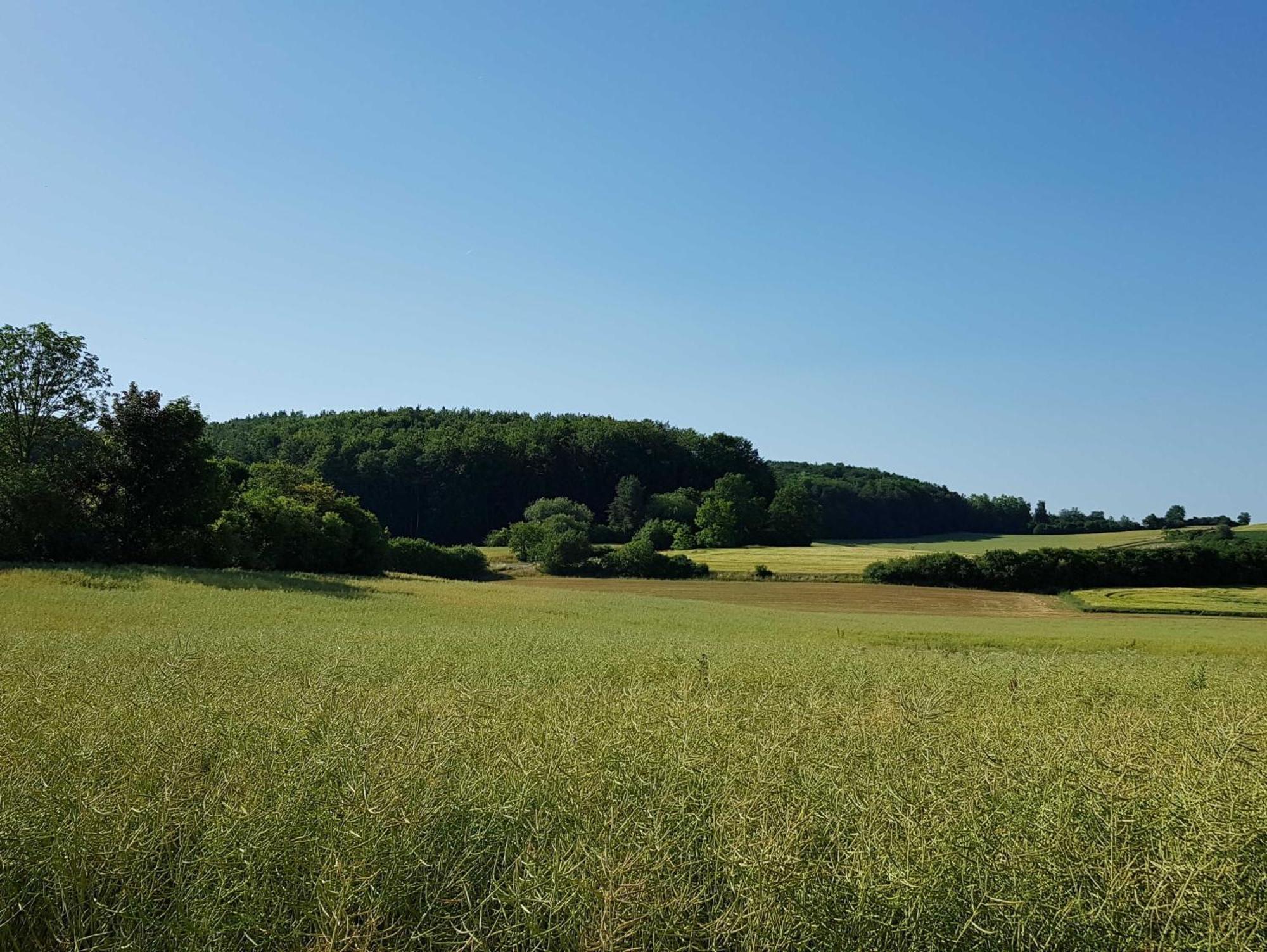 Ferienhaus Forstblick Betzenstein ภายนอก รูปภาพ