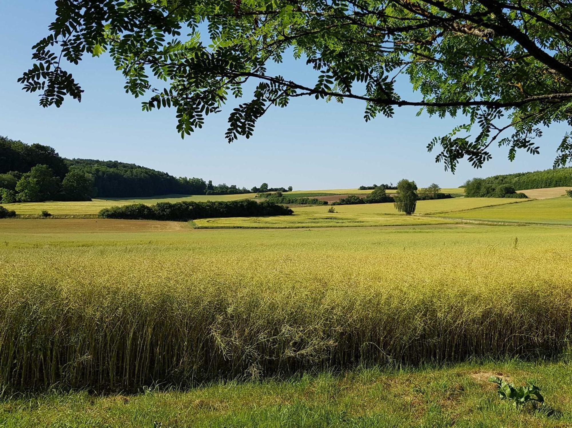 Ferienhaus Forstblick Betzenstein ภายนอก รูปภาพ